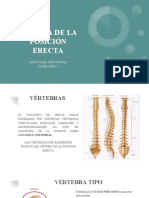 Osteología 1 PDF