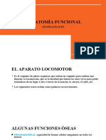 Sistema Oseo Generalidades PDF