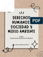 222B38010 Principales Derechos Humanos