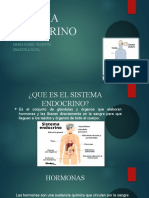 Sistema Endocrino