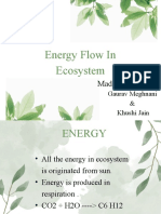 All The Energy in Ecosystem Is Originated From Sun. Energy Is Produced in Respiration - CO2 + H2O C6 H12 O6 + 6 O2 +ATP