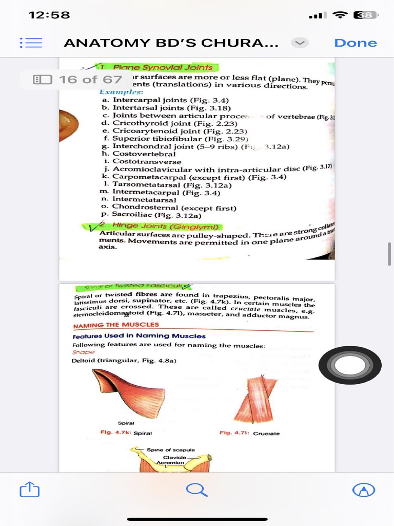 Open Folder Untitled Folder 6 | PDF