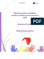 Finaltranslation - MLearn Best Practices Guide PDF