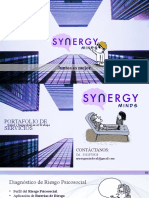 Portafolio Synergy Minds v3