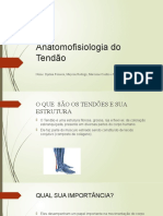 Anatomia e fisiologia dos tendões