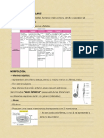 Oncocercíase PDF