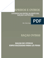 Aula 03 - Raças Ovinas PDF