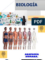 Anatomía - Humana PDF