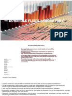 Downhole Fluids Labratory PDF