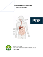 Checklist Praktikum Anatomi Blok 4 Anatomi Visceral Abdominalis 1 PDF