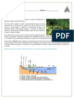 Practico Hidrofitas Parte1 - 1