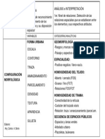 Configuración Morfológica PDF