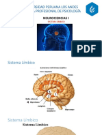 Sistema Limbico PDF