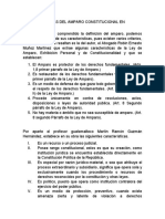 Caracteristicas Del Amparo Constitucional