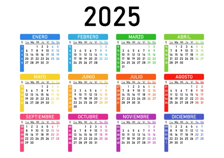 calendario2025vector.pdf PDF