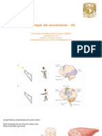 FibrasMusculares PDF