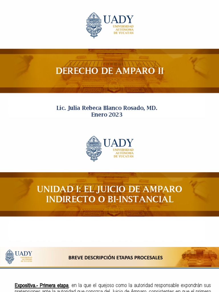 Etapas del Juicio de Amparo Indirecto | PDF | Sentencia (ley ...