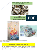 Rer Rel Golgi 080523 PDF