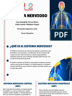 Exposición - Sistema Nervioso