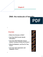 Chapter 8 - DNA The Molecular of Inheritance