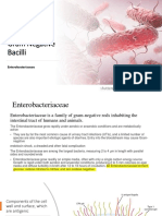 Entric Bacteria and Other GM Negative