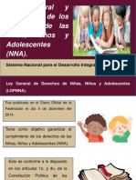 1.5 Ley General y Reglamento de Los Derechos de Las Niñas, Niños y Adolescentes.