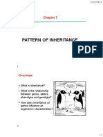 Chapter 7 - Pattern of Inheritance