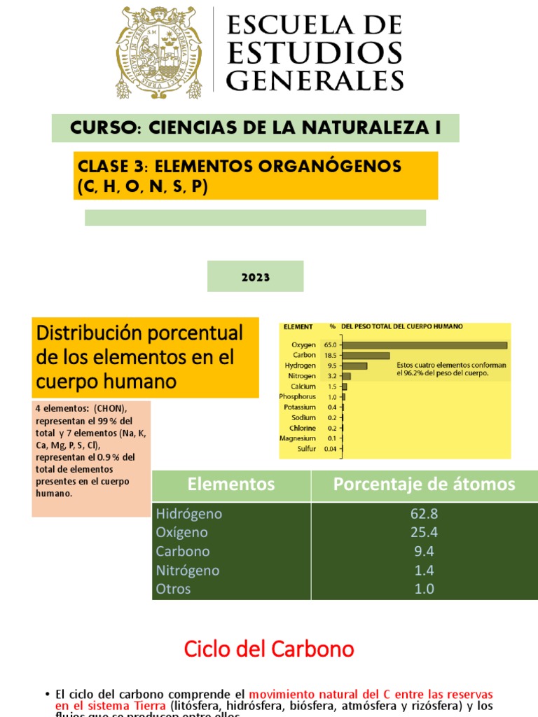 Elementos Organógenos en el Cuerpo Humano | PDF | Roca (geología) | Oxígeno