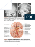 Ilovepdf Merged