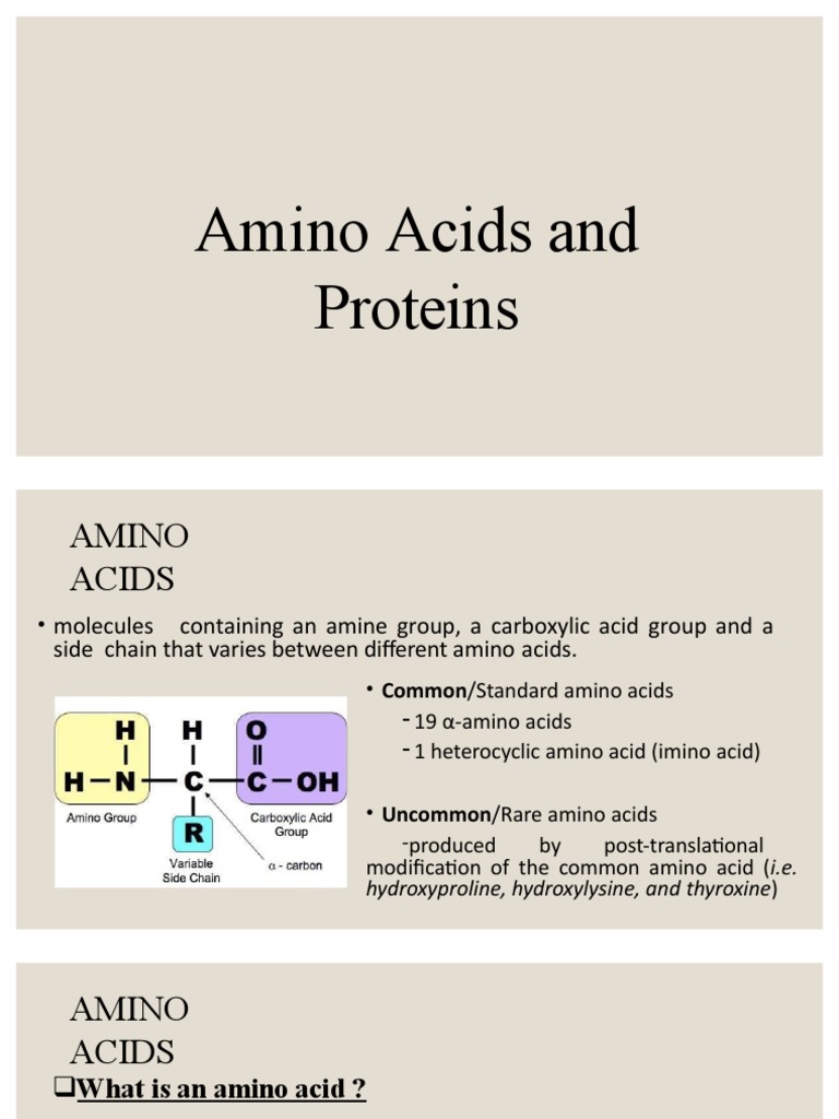 Amino Acids and Proteins PDF