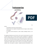 Protozoarios Intestinales No Patógenos - AAM