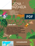 Zona Amazonica