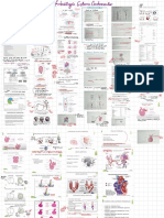 Embriología PDF