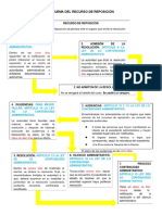 Esquema de Recurso de Reposicion