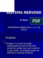 Sistema Nervoso2