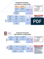 Especialidad Imagenología 96h Anatomía Radiológica