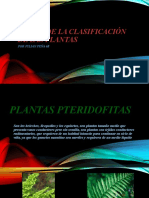 Álbum de La Clasificación de Las Plantas