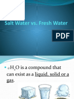 Salt Water vs Fresh Water: Key Differences