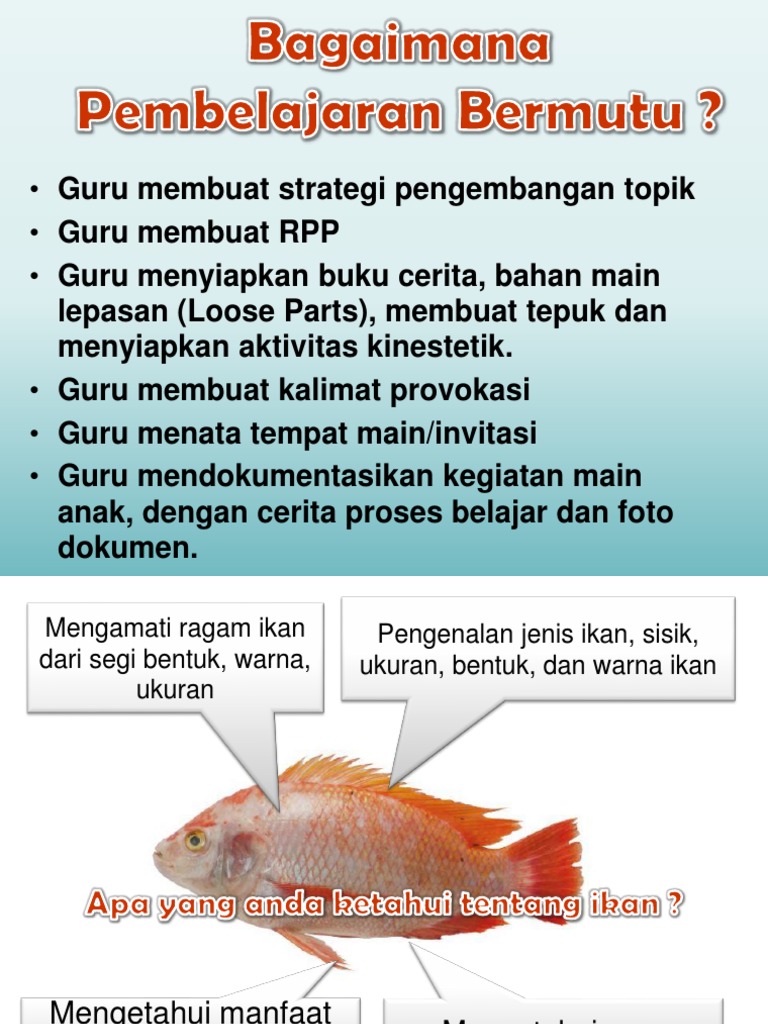 Contoh RPPH Dalam Pembelajaran | PDF