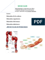 MUSCULOS Total de Total