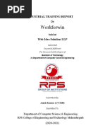 Project Report PDF