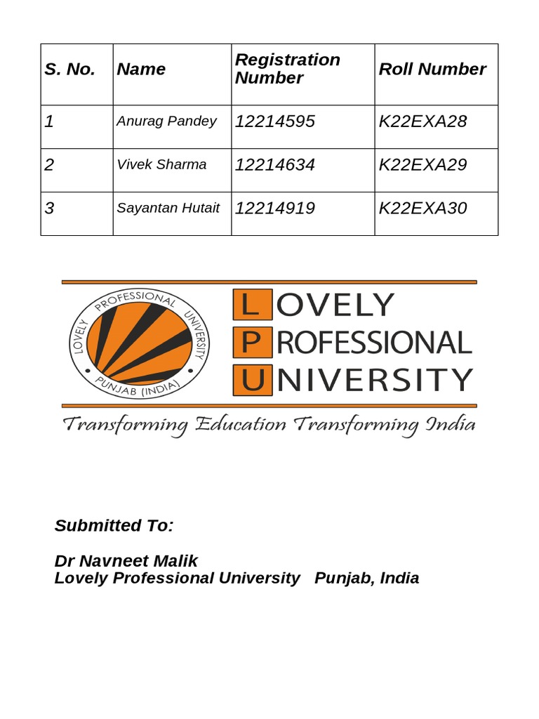 C Final Report PDF | PDF | C (Programming Language) | Software Development