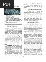 2 introdução a BIOCEL