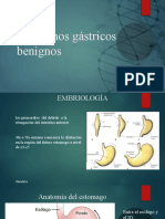 Trastornos Gastricos Benignos