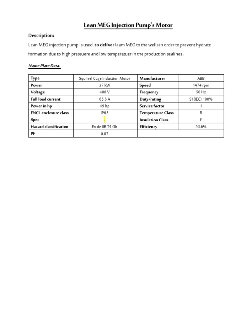 Lean MEG Injection Pump Motor Details | PDF