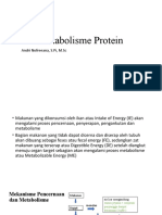 Metabolisme Protein