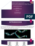 Replicaciondeladnbiologia 180513182548