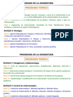 Tema 01 Pef. 2023 PDF