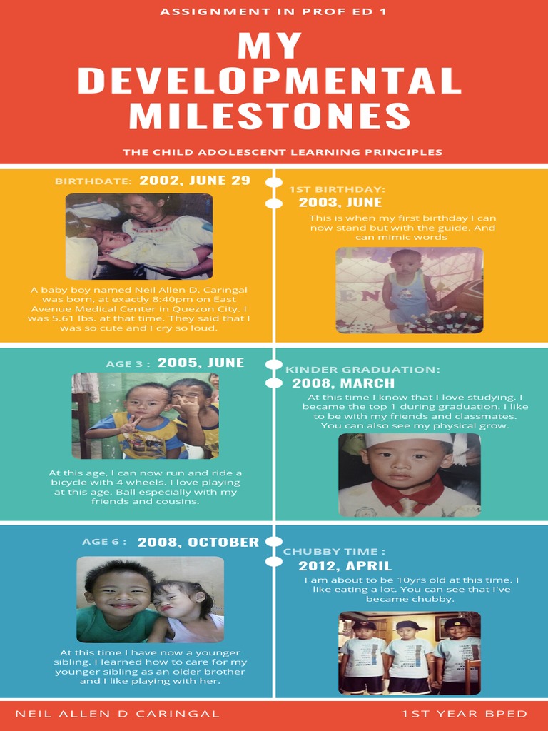 Career Timeline Examples