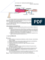 Las Lesiones Deportivas Ii